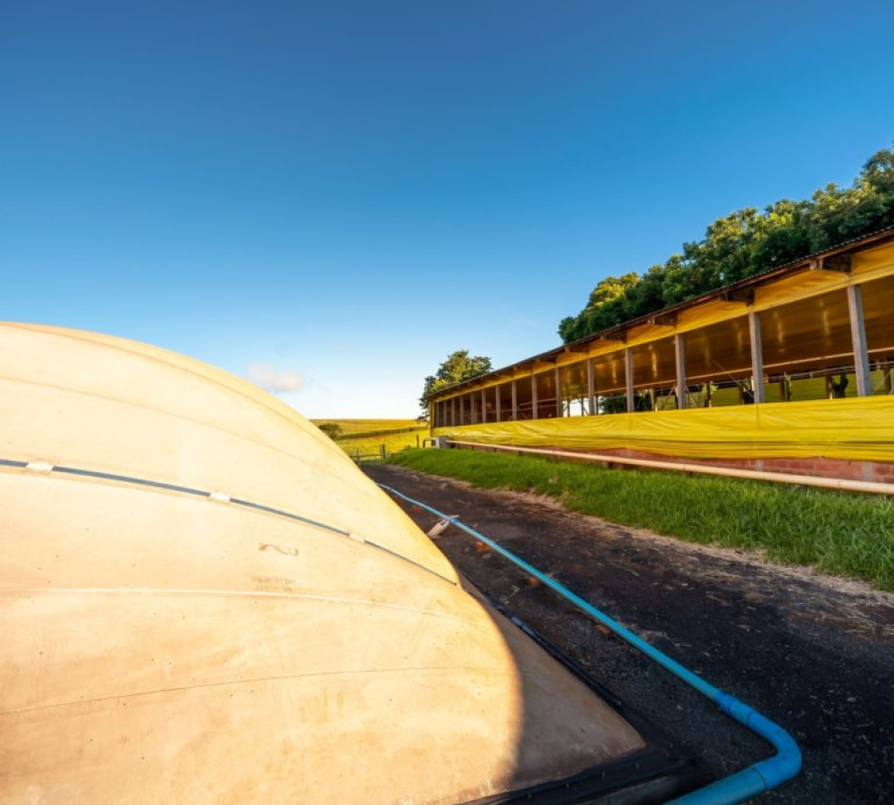 O biogás como energia brasileira
